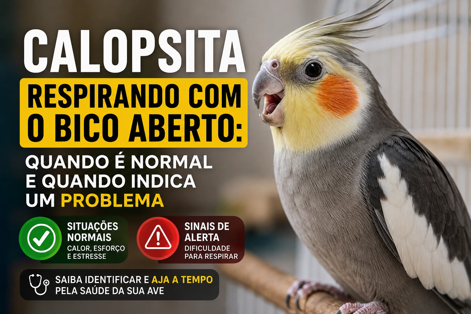 Calopsita respirando com o bico aberto é normal ou sinal de problema?